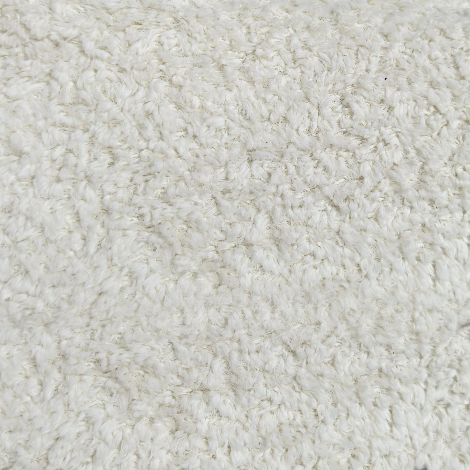 blanc,bianco